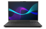 Infinity 17.3in WQXGA i9-14900HX RTX-4080 32GB 1TB SSD W11H Gaming Laptop N7-14R8A-999