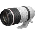 Canon RF 100-500mm F4.5-7.1L IS USM Lens